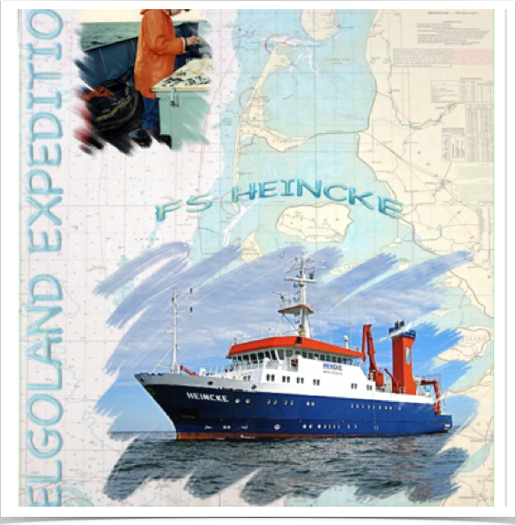 Participation in oceanic research expeditions onboard RV FRIEDRICH HEINCKE.